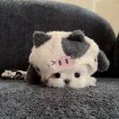 你好呢