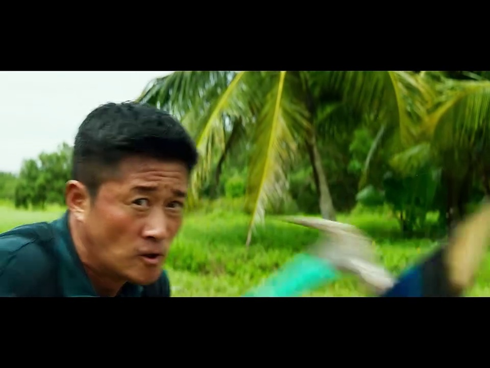 巨齿鲨1