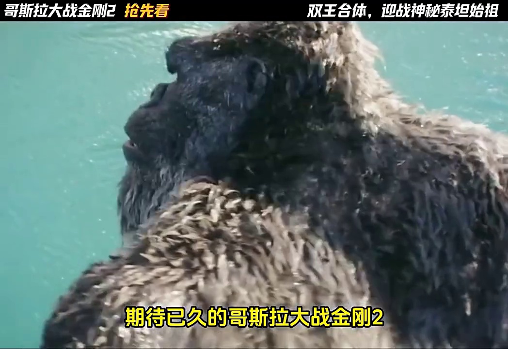 金刚大战哥斯拉2