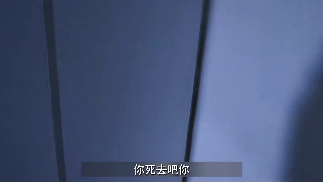 人肉叉烧包之天诛地灭