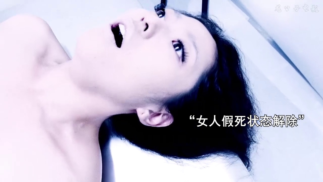 女体统
