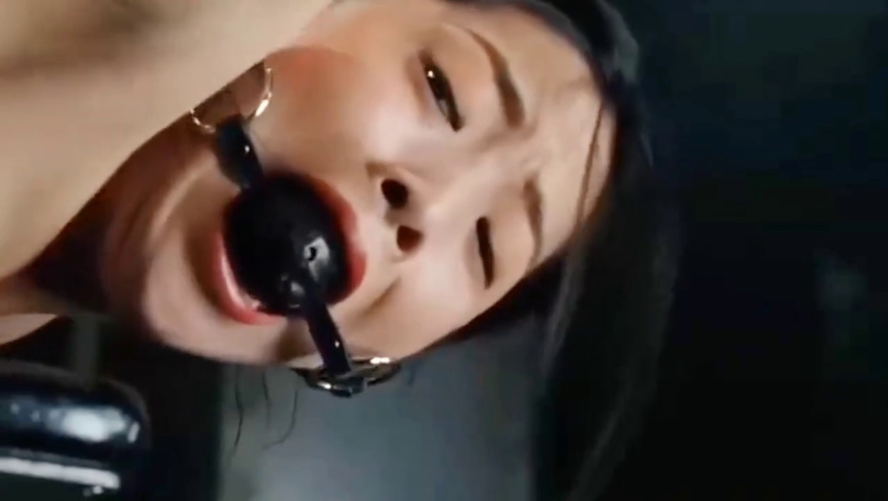 阴兽