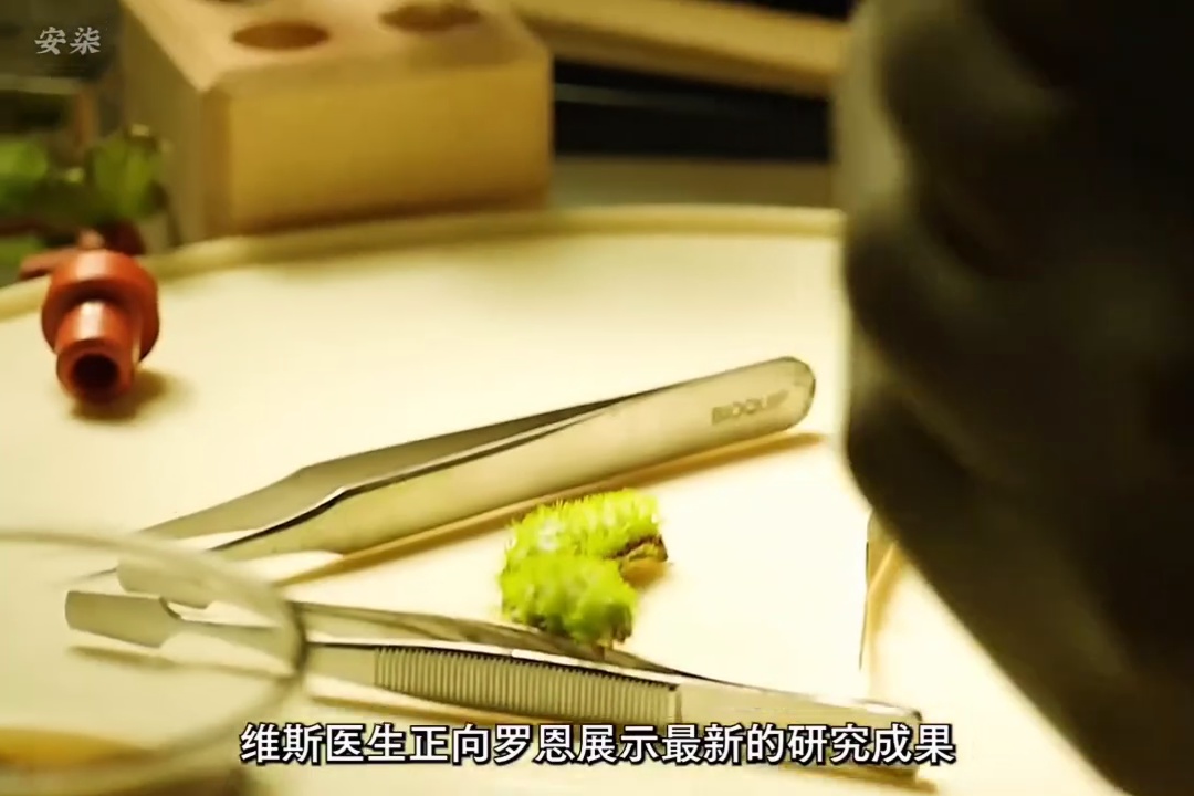 达拉斯买家的俱乐部
