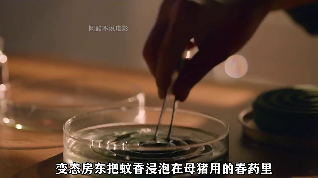 楼下的房客
