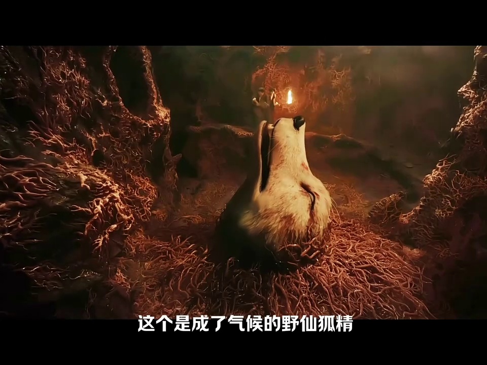 山村狐妻