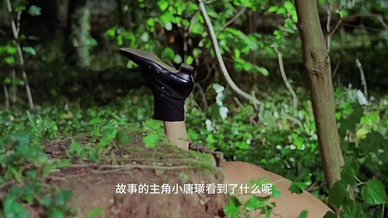 小唐璜情史