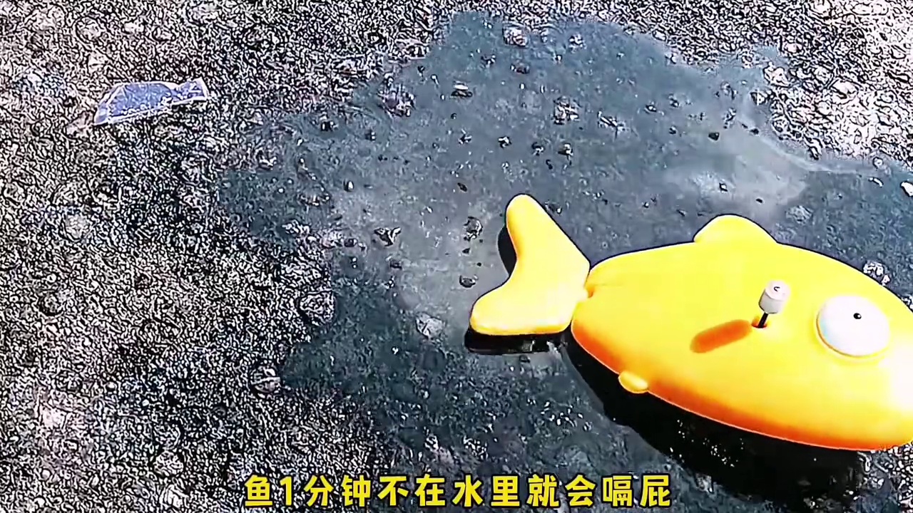 兰戈