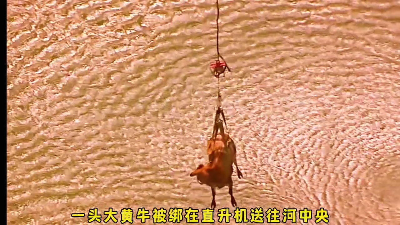 史前巨鳄