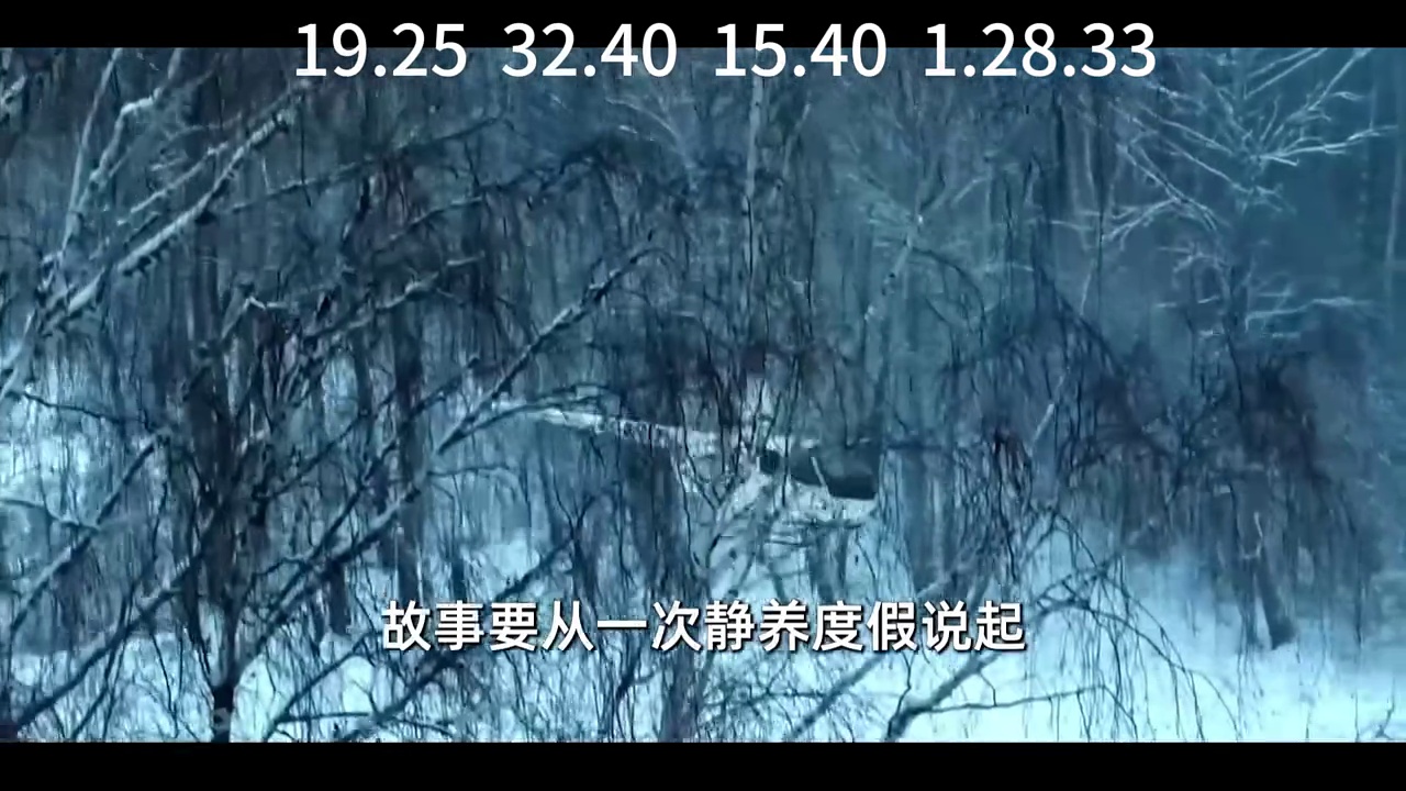 黑暗的反射