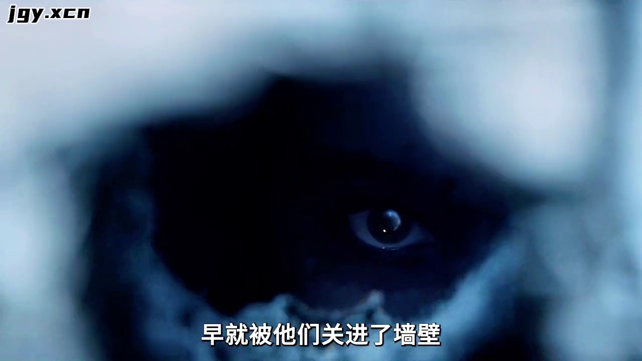 蛛网男孩