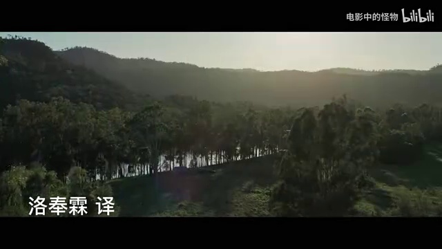 僵尸袋鼠