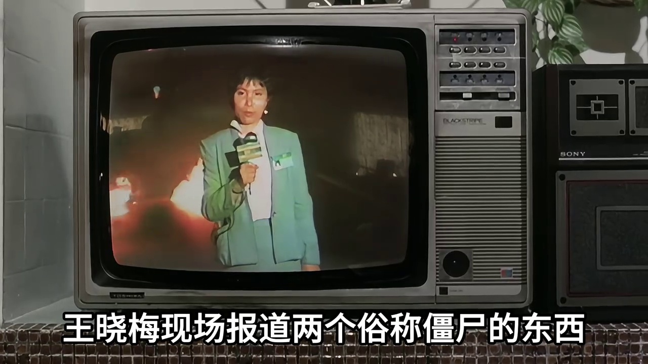 僵尸家族