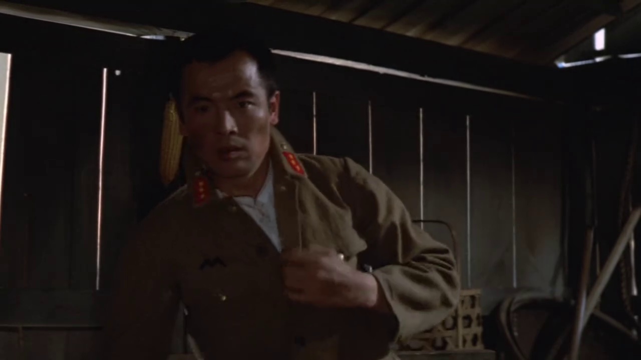 牢笼中的夫人
