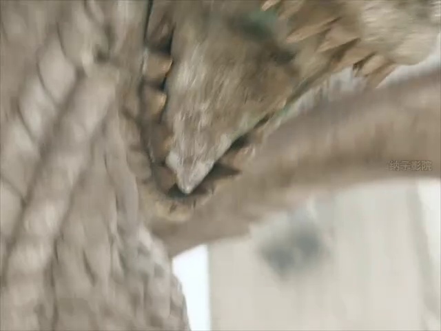 龙与地下城：侠盗荣耀