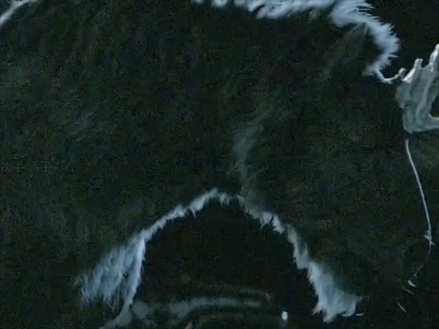 独角兽之死
