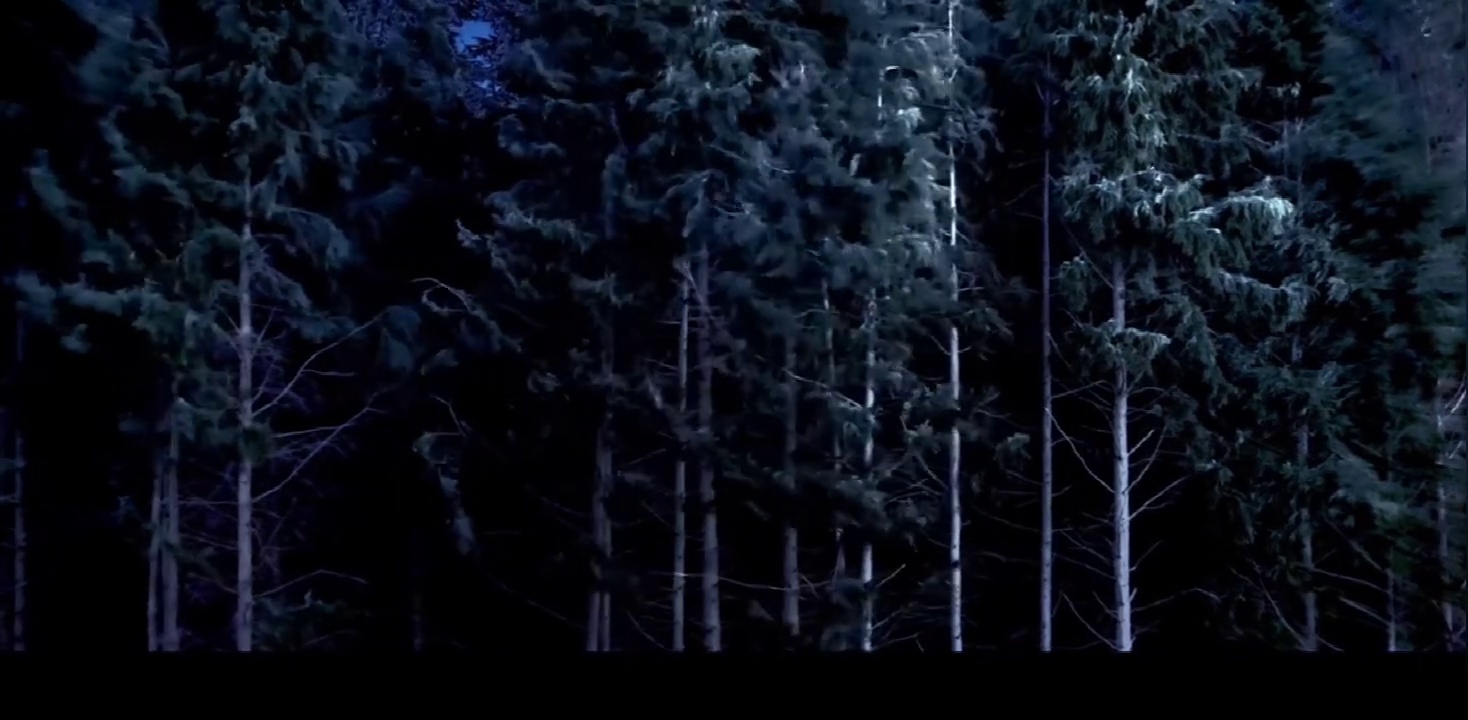 小鹿斑比：清算