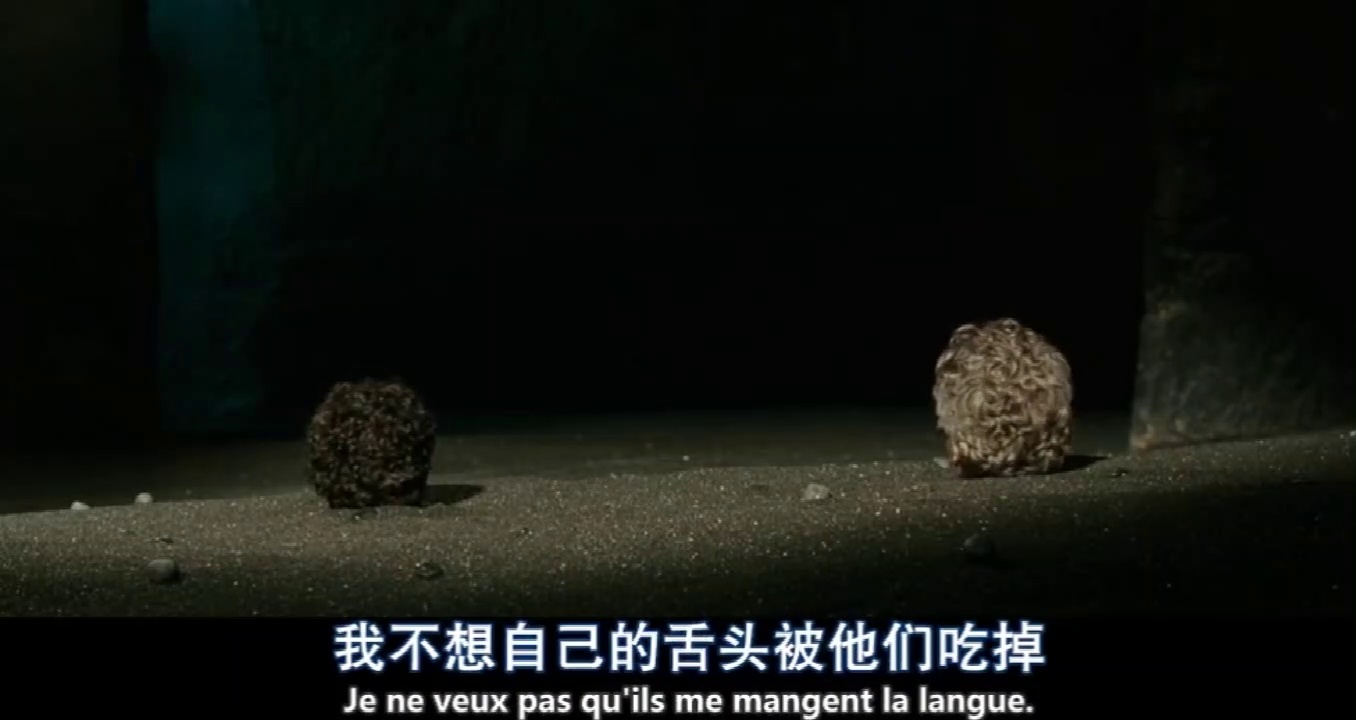 追踪长尾豹马修