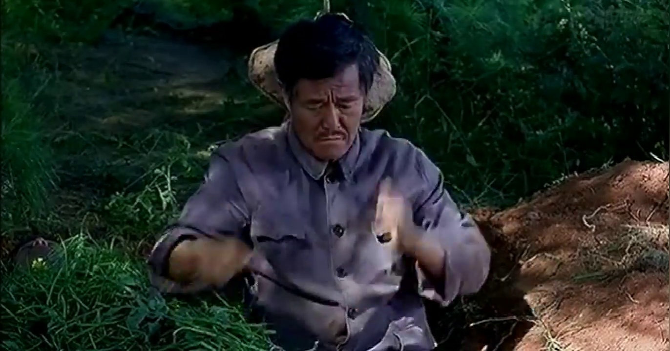 落叶归根