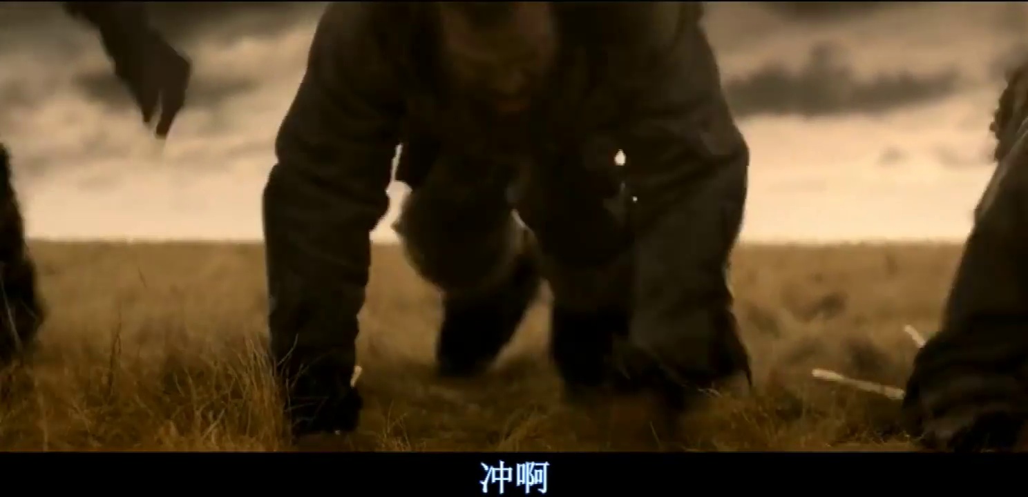 阿尔法:狼伴归途